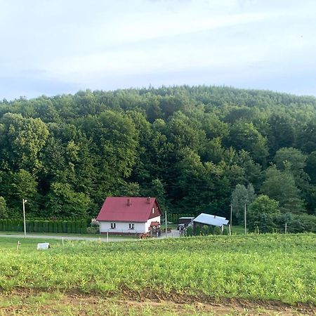 Domek Pod Lasem Kanczuga Bagian luar foto
